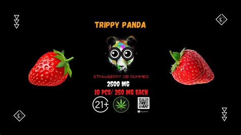 Trippy Panda D8 Gummies. Trippy amnita shroom gummies by trippy panda. 